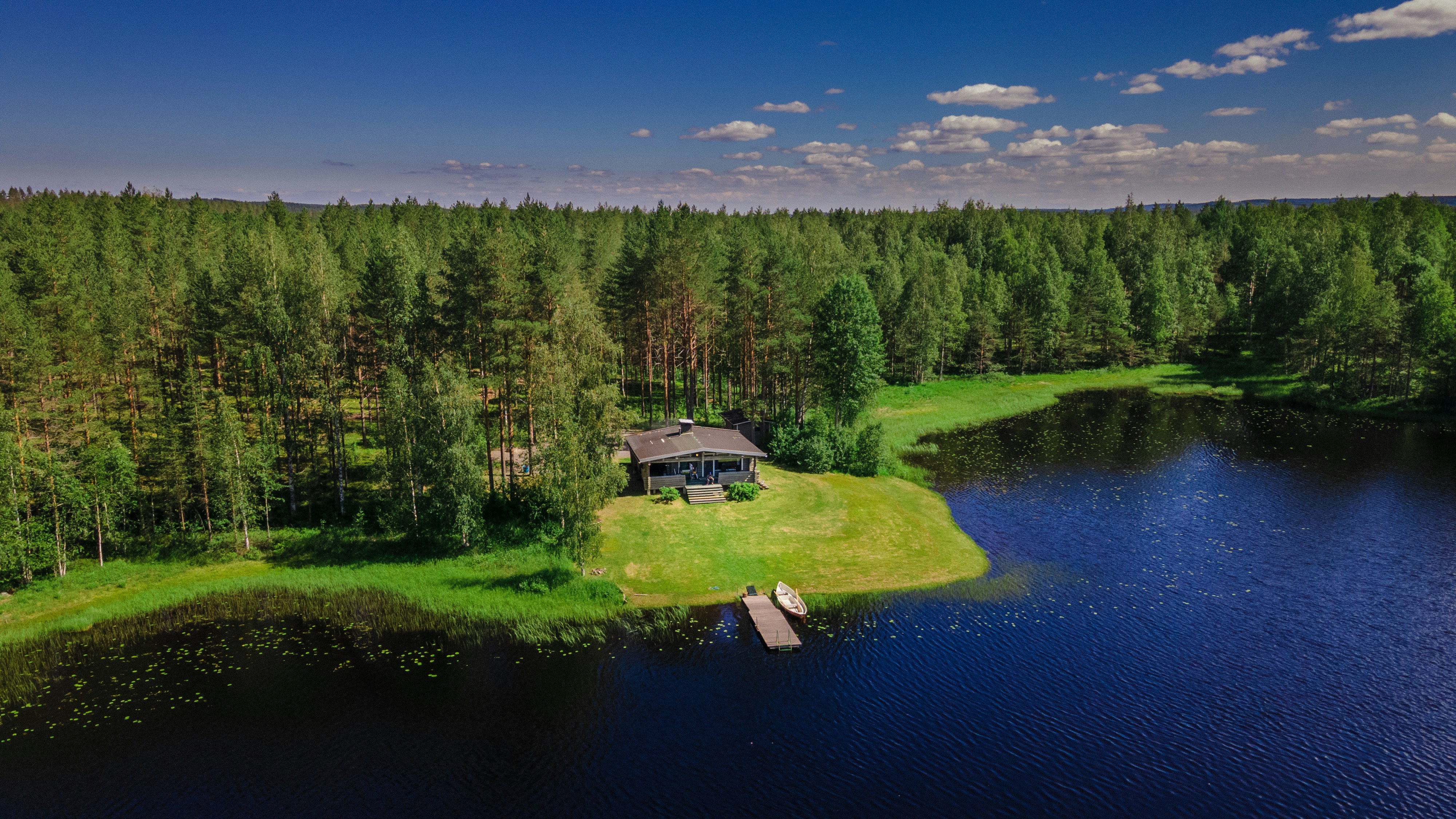 Forest lake with cabin - serene natural landscape